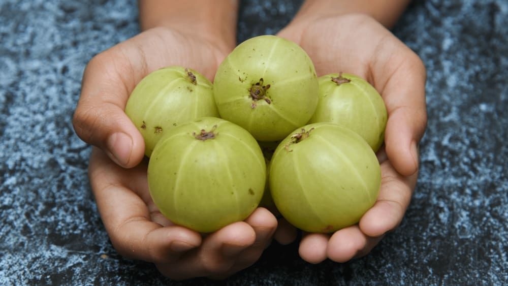 Eating amla for outlet hair